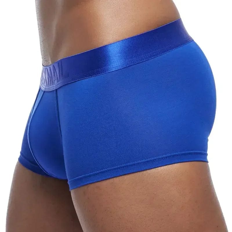 Apparel 4 Pack Silky Waist Underwear INVI-Expressionwear 4 Pack Silky Waist Underwear