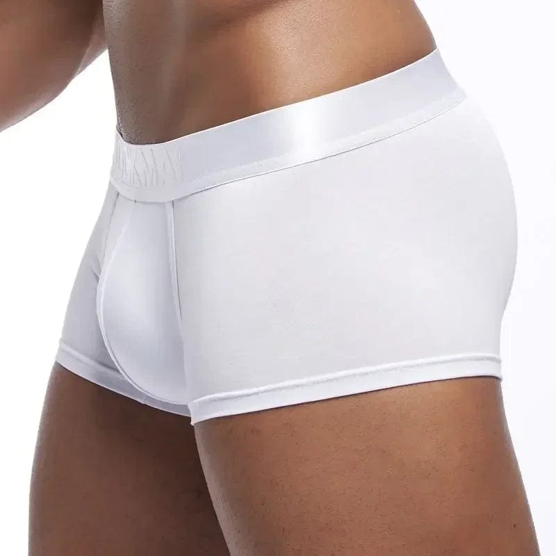 Apparel 4 Pack Silky Waist Underwear INVI-Expressionwear 4 Pack Silky Waist Underwear