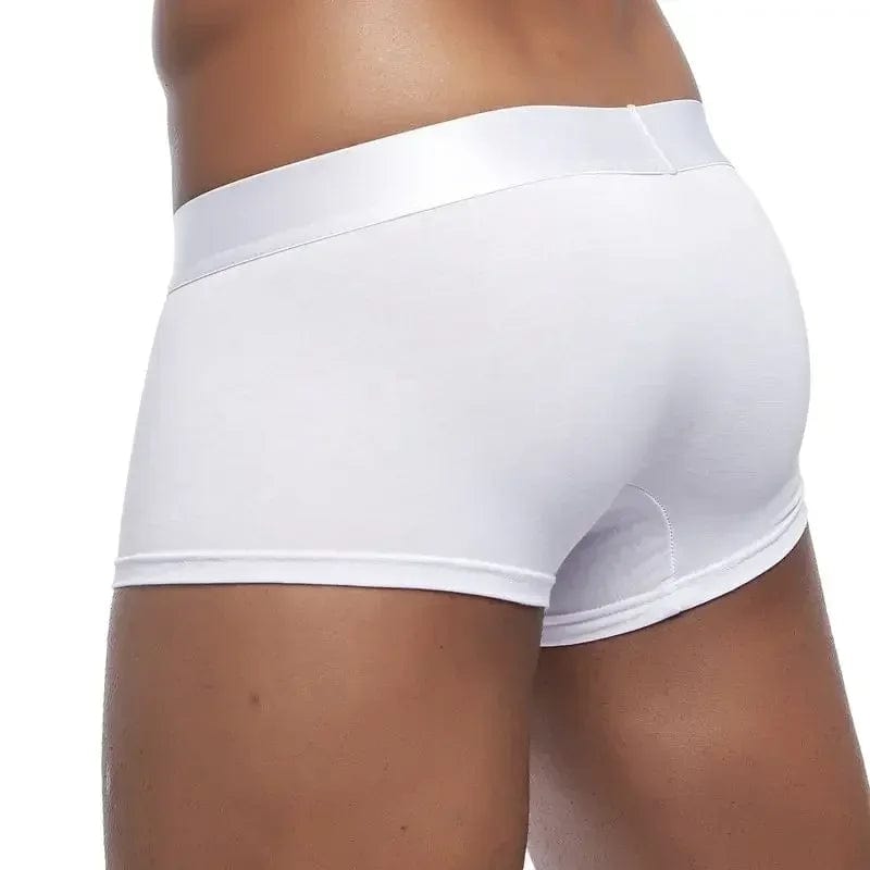 Apparel 4 Pack Silky Waist Underwear INVI-Expressionwear 4 Pack Silky Waist Underwear