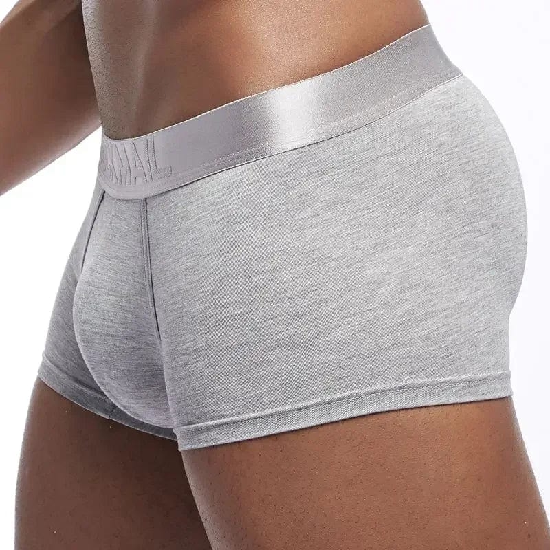 Apparel 4 Pack Silky Waist Underwear INVI-Expressionwear 4 Pack Silky Waist Underwear