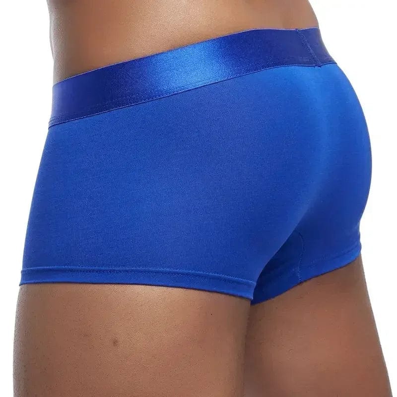 Apparel 4 Pack Silky Waist Underwear INVI-Expressionwear 4 Pack Silky Waist Underwear