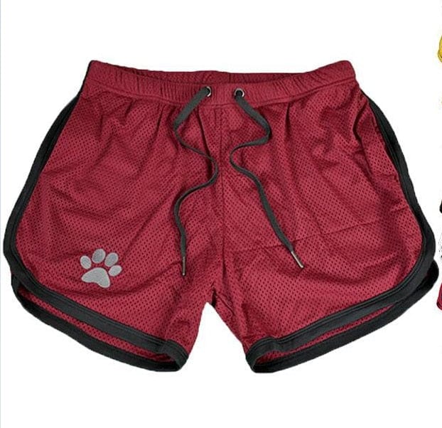 Shorts 13 / M - US size (28-30") Bear Gym Shorts INVI-Expressionwear