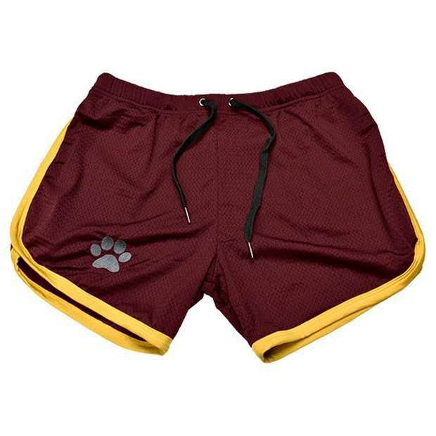 Shorts 6 / M - US size (28-30") Bear Gym Shorts INVI-Expressionwear